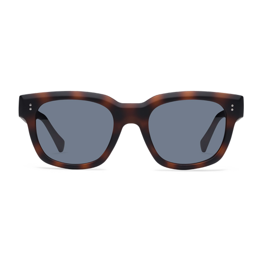 Kaine Sun Progressives