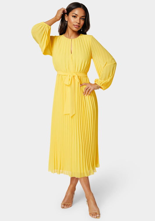 Pleated Gown With Long Sleeves